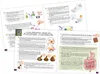 Expériences dégoûtantes - Mini Lab Icke Wissenschaft Voir les images du produit 3