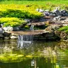 A small waterfall cascades into a pond with lily pads. Produktbild-Vorschau