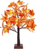 Herbstdeko Ahornblatt Lichterbaum mit 24 LEDs – 60cm LED Produktbild-Vorschau 1