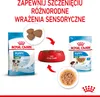 ROYAL CANIN SHN Mini Puppy in Sauce - Nassfutter für Welpen Podgląd zdjęcia produktu 8