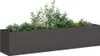 A long, rectangular planter filled with various green plants and some yellow flowers, set against a white background. Produktbild-Vorschau