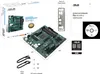 ASUS PRO B550M-C/CSM, Mainboard Produktbild-Vorschau 7