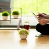 Künstliche Pflanzen im Topf 3er Set Wohnzimmer Deko modern Produktbild-Vorschau 4