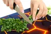 Hands chopping green onions on a dark, abstract surface with glowing orange lines. Náhľad obrázku produktu