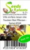 10x Vitis vinifera riesen rote Trauben Obst Pflanzen - Produktbild-Vorschau 4