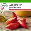 SAFLAX - Paradajka - Andský roh / Cornue des Andes - Náhľad obrázku produktu 5
