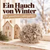 Eingangsbereich mit großer Fläche aus weißem Curly Moos Produktbild-Vorschau