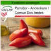 SAFLAX - Pomidor - Andenhorn - 10 Nasiona - Z podłożem Podgląd zdjęcia produktu 5