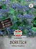 Sperli Borretsch Gurkenkraut - Kräutersamen Produktbild-Vorschau 3