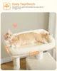 PAWZ Road XL Katzenkratzbaum mit Hängematte, 143 cm Produktbild-Vorschau 4