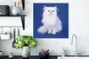 MuchoWow® Poster Weiße Perserkatze mit blauem Hintergrund Produktbild-Vorschau 3