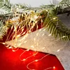 LED svetelná reťaz, strieborný drôt, 80 LED, teplá biela, Náhľad obrázku produktu 2