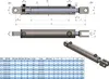 Hydraulikzylinder Doppeltwirkend mit Gabeln - Hub 100 mm Produktbild-Vorschau 2