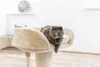Kerbl 84448, Katzenkratzbaum, Freistehend, Beige, Produktbild-Vorschau 3
