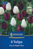 Kiepenkerl Tulpen Mix Day & Night Tulipa hybrids 8 Zwiebeln Produktbild-Vorschau 1