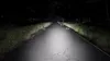 A dark road at night, illuminated by bicycle lights, with grass and trees on the sides. Anteprima dell’immagine prodotto