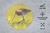 MuchoWow® Mauspad Mousepad Vögel - Gras - Landschaft - Produktbild-Vorschau 2