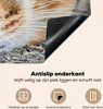 KitchenYeah© Herdabdeckplatte Katze - Grau - Makro , Produktbild-Vorschau 4