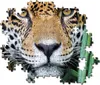 Clementoni puzzle 500 pezzi HQ Jaguar in the Jungle 35127 Anteprima dell’immagine prodotto 4