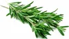 Olio di rosmarino, 1 kg, 1 litro, 1000 ml - 100% essenza Anteprima dell’immagine prodotto 4
