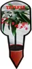 Tamaya-Begonie - Begonia albopicta - Begonien-Stämmchen - Produktbild-Vorschau 3