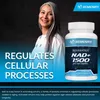 Resvératrol NAD+ 1500 mg (120 capsules), complément Voir les images du produit 4