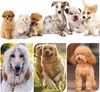 Set per la cura degli animali domestici 8 in 1 con Anteprima dell’immagine prodotto 9