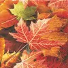 20 Servietten Maple Leaves - Ahornblätter 33x33cm Produktbild-Vorschau 1