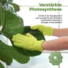 Bamworld Mikrofaser-Handschuhe – Grün, wiederverwendbar, Produktbild-Vorschau 6