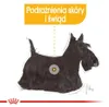 Royal Canin Dermacomfort, Adult, 85 g Produktbild-Vorschau 10
