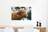 MuchoWow® Poster Schottisches Hochlandrind - Kuh - Frühling Produktbild-Vorschau 5