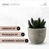Künstliche Pflanzen Mini 4er Set Dekoration Kunstpflanzen Produktbild-Vorschau 3