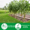 Novatool 5 Tomatenstäbe 110 cm 5 mm Durchmesser Produktbild-Vorschau 5