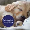 Canosept Wundspray für Hunde 75ml - Zur Reinigung und Produktbild-Vorschau 4