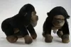 Two plush gorillas on a white background. Voir les images du produit