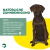 TOPDOG Kauknochen - Kausnack für Hunde - 25 Stück Produktbild-Vorschau 4