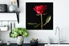 MuchoWow® Poster Eine rote Rose auf schwarzem Hintergrund Produktbild-Vorschau 3