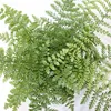 Asplenium 'Parvati' ca. 15 cm - Felce nido - Felce striata Anteprima dell’immagine prodotto 2