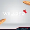 WELLGRO Baguette-Blech - für bis zu 3 Baguettes - Produktbild-Vorschau 7