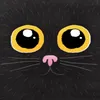 Keilrahmenbild - Black Cat - Größe 30 x 30 cm Produktbild-Vorschau 5