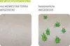 Stones MOWESTAB® TERRA 0-8 mm crema-sand 25kg Produktbild-Vorschau 5