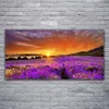 Acrylglasbilder 120x60 Wandbild Druck Sonne Wiese Blumen Produktbild-Vorschau 2