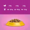 Whiskas Kurczak dla kota 1,4 kg Produktbild-Vorschau 8