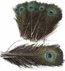 Plumes de paon, env. 25-30 cm, 5 pièces Voir les images du produit 1