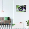 relaxdays Truhla 10031586_49 bílé dřevo 76,5 cm Náhled obrázku produktu 2