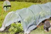 A tunnel greenhouse protecting lettuce plants in a garden. Náhled obrázku produktu