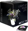 A black product box with a floral arrangement in a white vase depicted on it. Text and social media icons are also visible. Produktbild-Vorschau