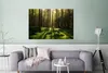 MuchoWow® Poster Bäume - Wald - Moos - Pflanzen - Sonne - Produktbild-Vorschau 5