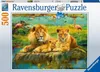 Ravensburger Puzzle 500T. Lwy na sawannie Podgląd zdjęcia produktu 1
