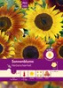 Artikelbild 1 von 'Sonnenblume Herbstschönheit' aus der Kategorie Sonnenblumensamen Produktbild-Vorschau
